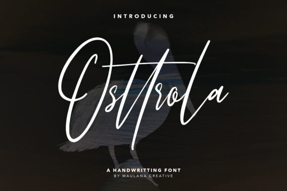 Osttrola: A Script Font Designed to Capture Attention
