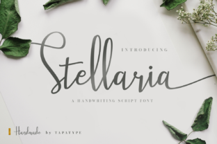 Stellaria: Integrating an Elegant Script into Your Creative Workflow