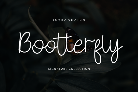 The Bootterfly Script: A Modern Typographic Companion