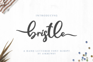 The Strategic Power of Bristle: Elevating Communication Beyond the Ordinary